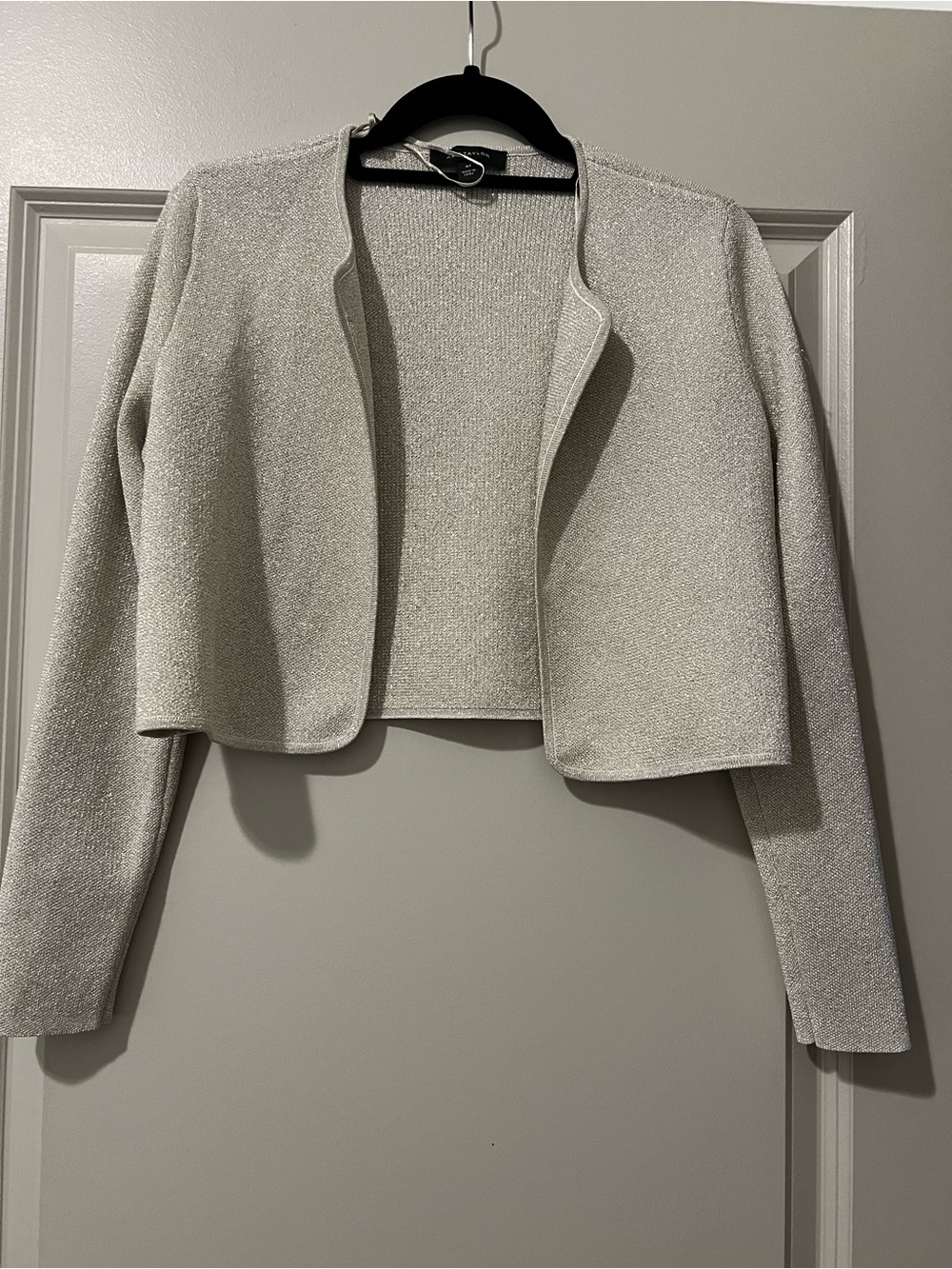 Ann Taylor Silver Sparkle Cropped Open-Front Jacket